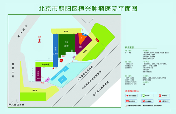 骚穴又想了大要大鸡巴操视频人文但艺术北京市朝阳区桓兴肿瘤医院平面图